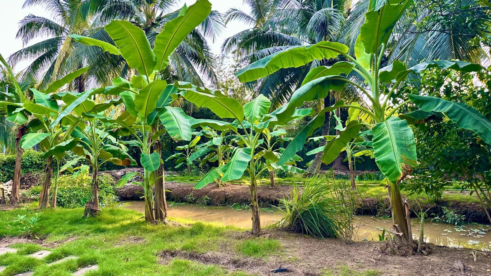 Hide Away Bungalows In Ben Tre City Exterior foto