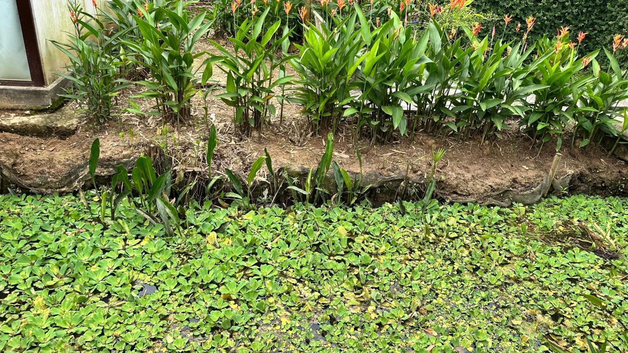 Hide Away Bungalows In Ben Tre City Exterior foto